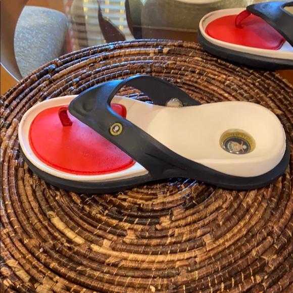Hawaiian Jellys Shoes - Hawaiian Jellys Presidential Flip Flops